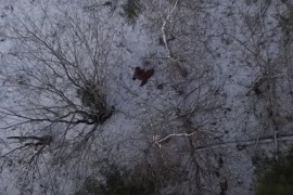 Da li je snimak dronom "uhvatio" Bigfuta? (VIDEO)