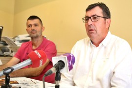 SOS tim hvataće odbjegle pčele i smještati ih u azil