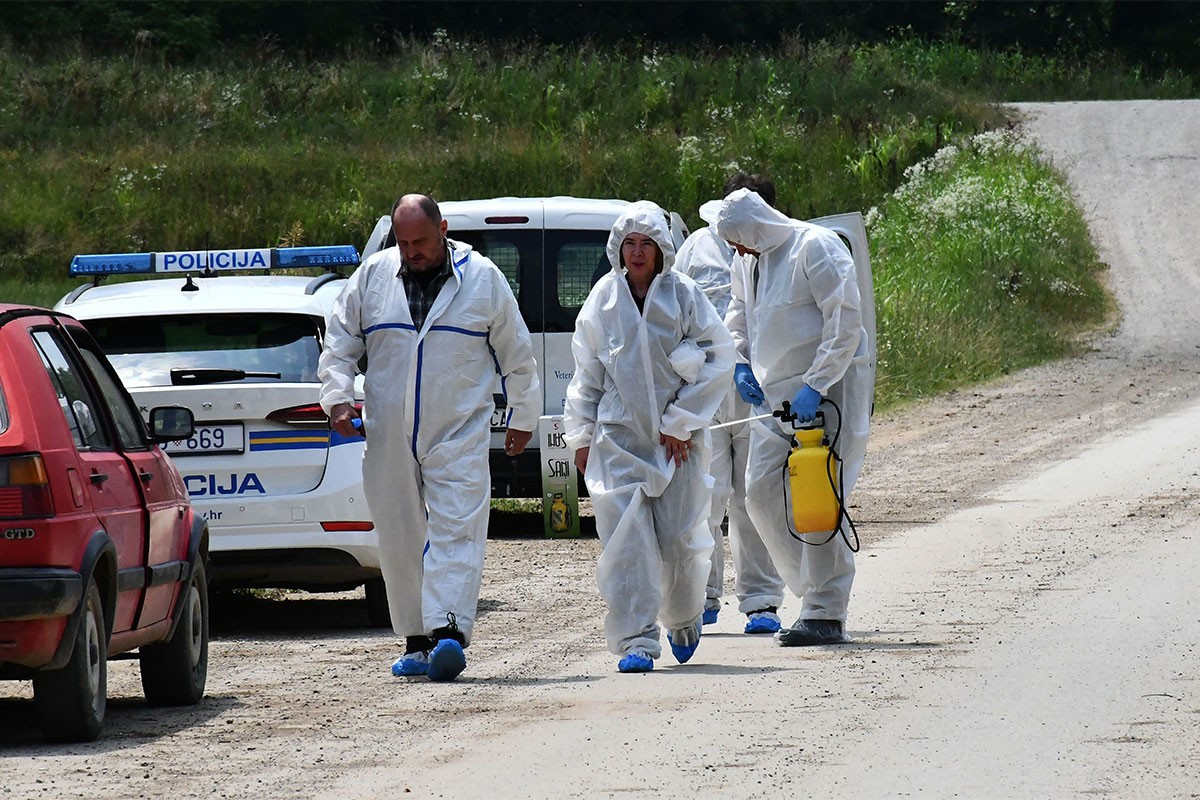 Afrička kuga hara Slavonijom