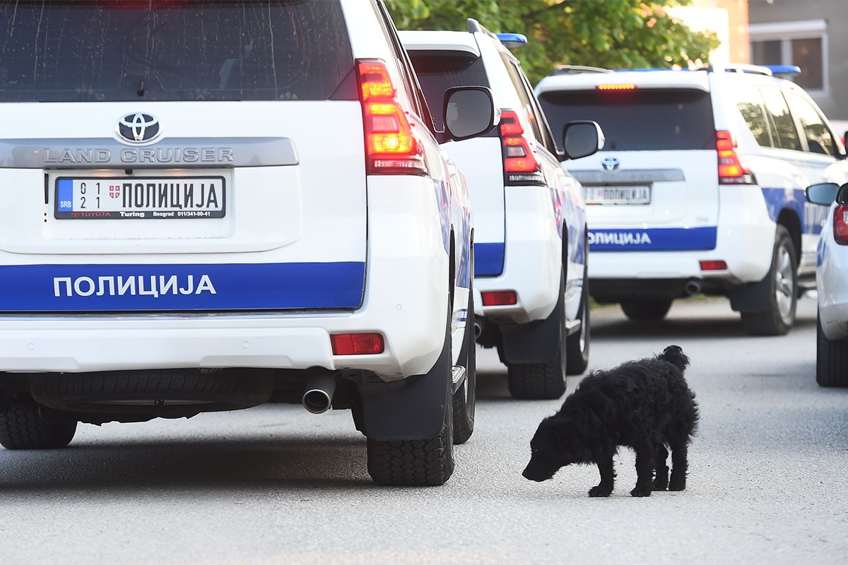 Uhapšena baba dječaka osumnjičenog za ubistvo brata kod Mladenovca