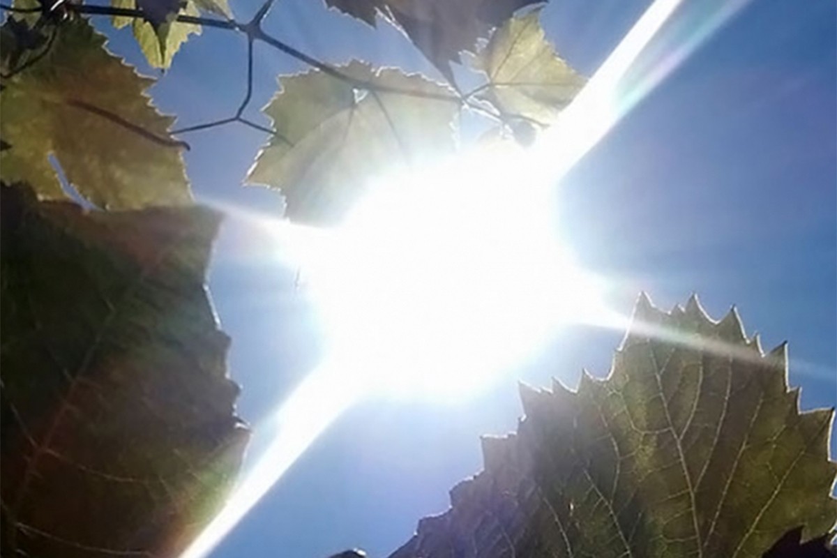 Kakvo nas vrijeme očekuje u nedjelju