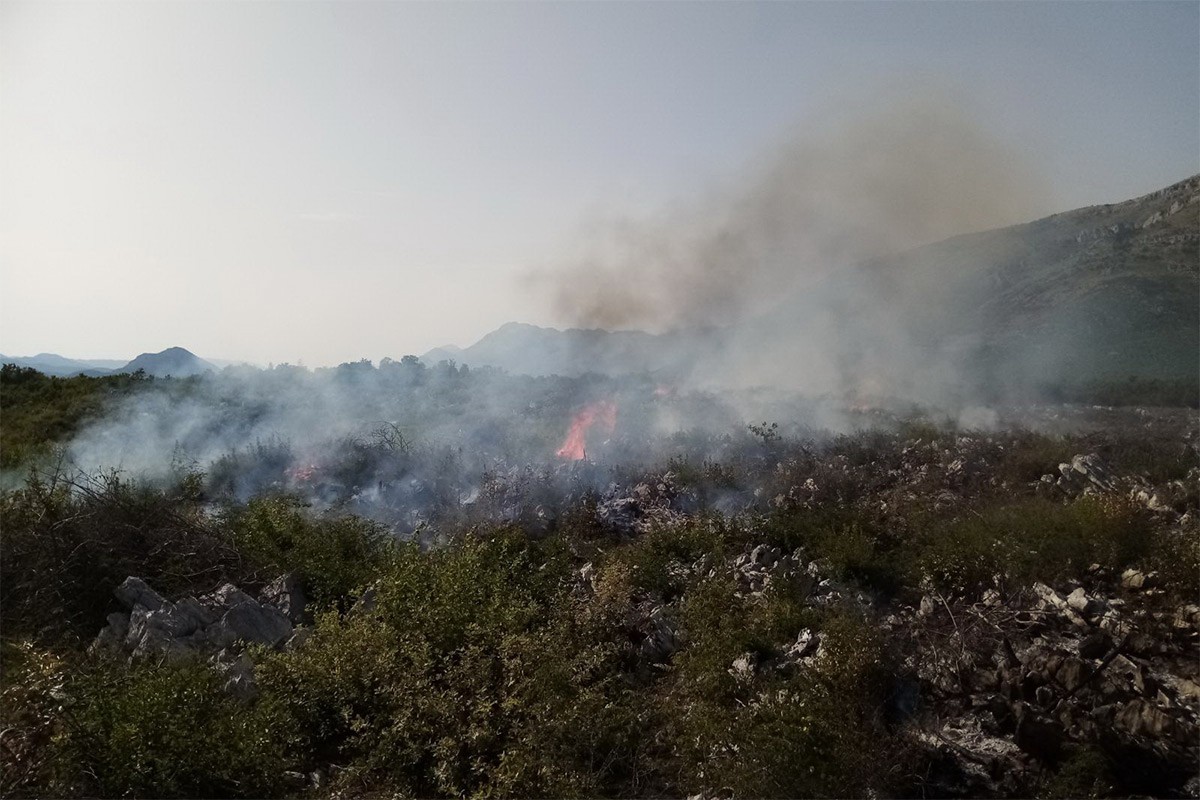 Šumski požar kod Trebinja