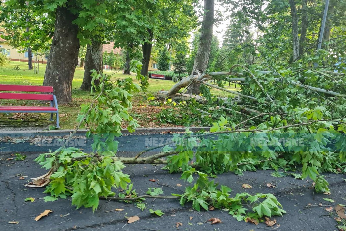 Snažno nevrijeme širom BiH: Vjetar čupao stabla, neki gradovi ostali bez struje