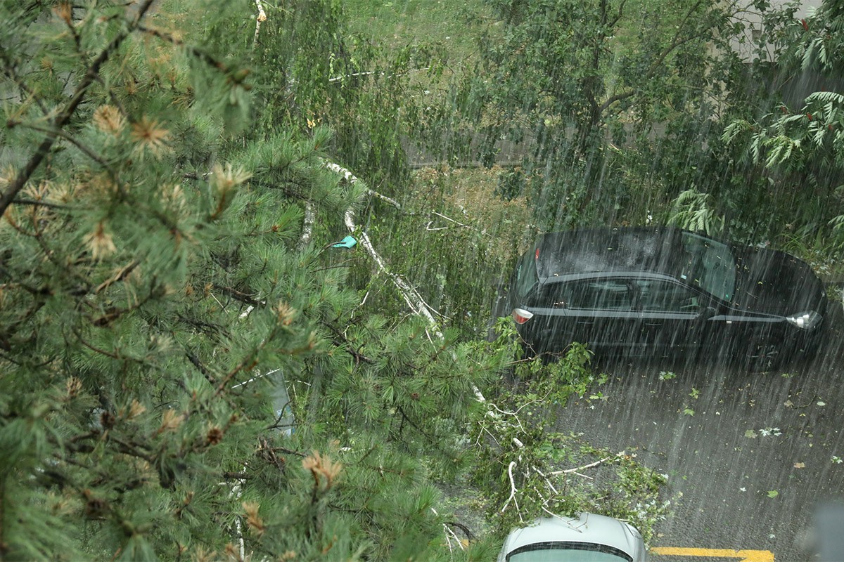 Oluja u Zagrebu, vjetar čupao drveće (VIDEO)