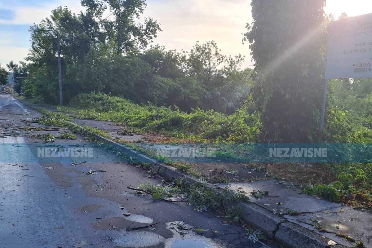 Vozači oprez: Polomljeno granje na kolovozima