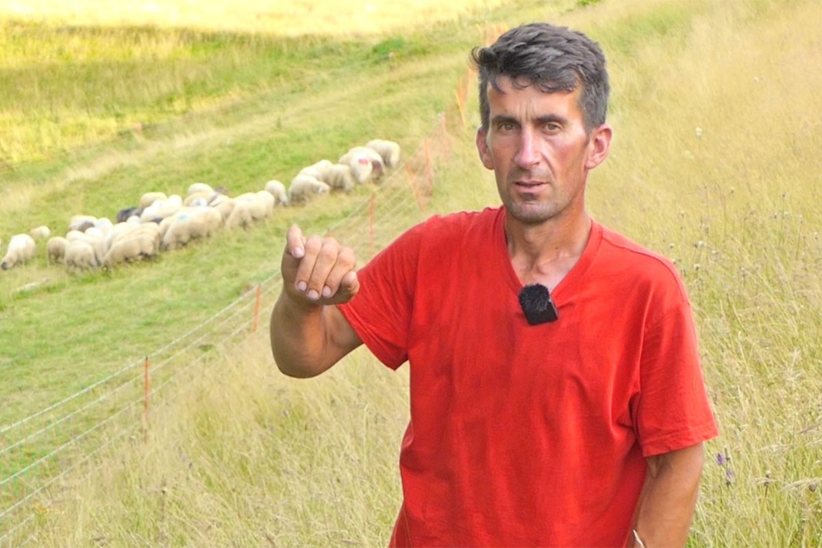 Poznati pastir ostavlja ovce i odlazi iz BiH (VIDEO)