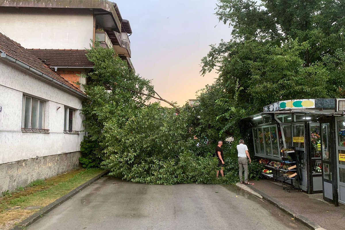 Posljedice nevremena u Srpskoj: Porušeno drveće, oštećeni krovovi i automobili (FOTO)