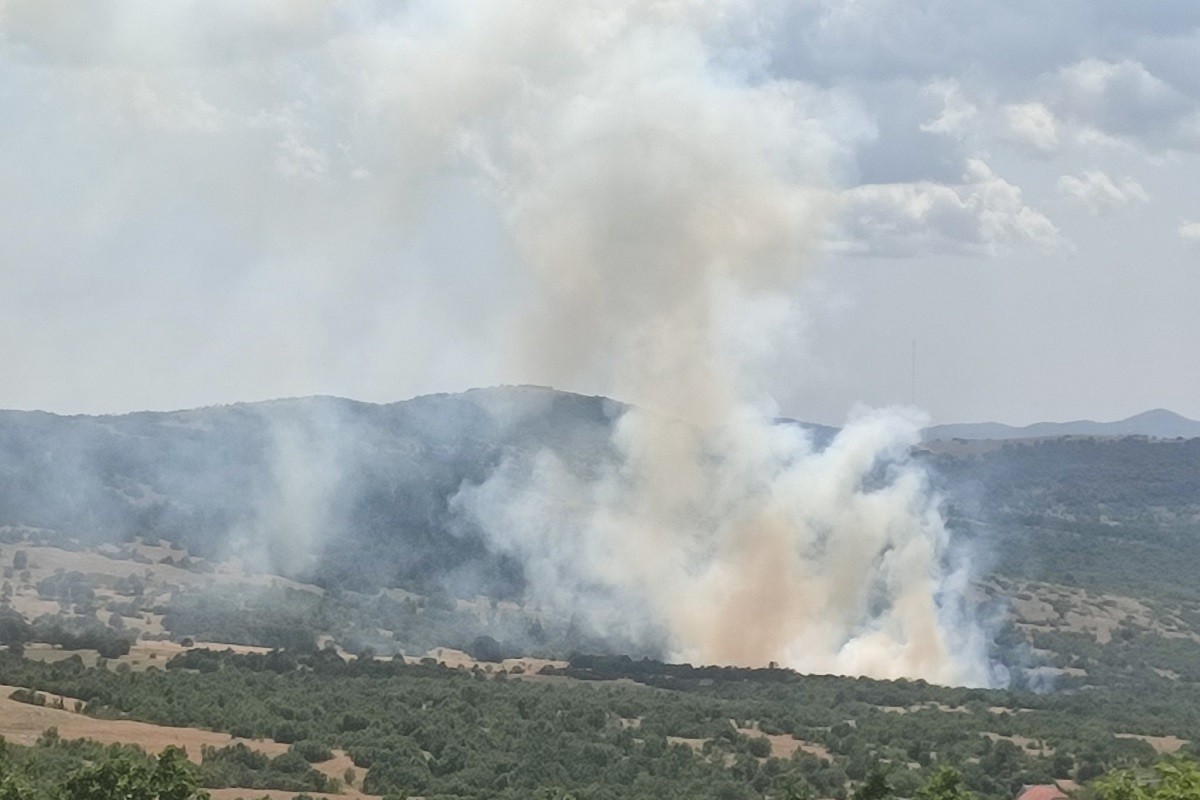 Požar izbio u bilećkom selu: Vatrogasci odbijaju vatru od kuća (FOTO)
