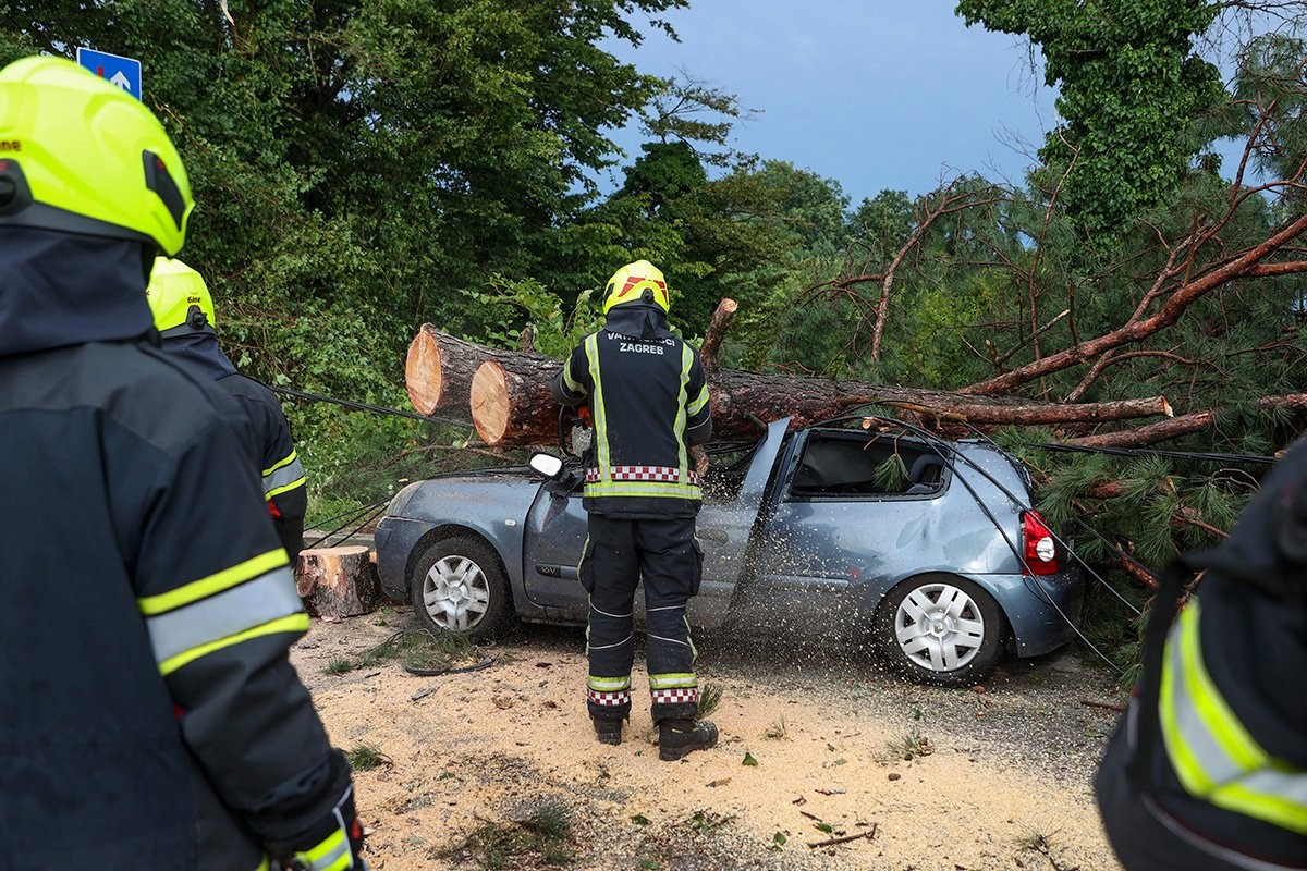 Nova opasnost u Zagrebu: "Stabla se ruše bez ikakvog povoda"