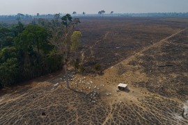 Stopa krčenja šuma u brazilskoj Amazoniji najniža u posljednjih ...