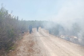 Požar na području Gomiljanskog polja u Trebinju
