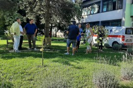 Sanjani iz Kanade uredili prostor ispred zdravstvenih ustanova
