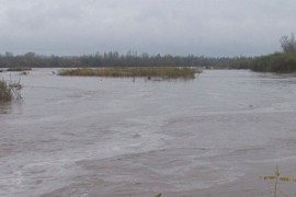Drava u Hrvatskoj dostigla rekordan nivo, angažovana i vojska