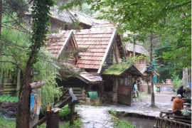 Počeo 23. Međunarodni džez festival "Zelenovac 2023"