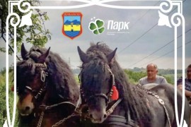 Prva "Fijakerijada" čuva sjećanje na tradiciju uzgoja konja
