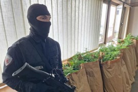 Zaplijenjeno 172 kilograma droge u Loparama (FOTO)