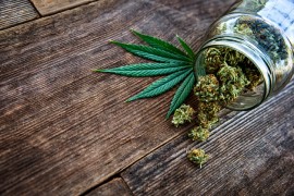 Ako Njemačka legalizuje marihuanu dolazi i norma