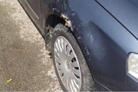 Pitbul oštetio automobil