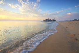 Mladu ženu usmrtilo drvo na plaži