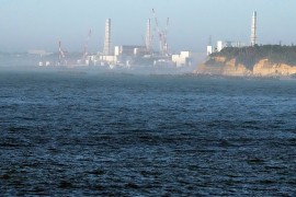 Japanska agencija: U ribi nema tragova radijacije iz Fukušime