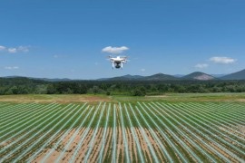 Ni ličkog krompira više nema bez dronova (VIDEO)