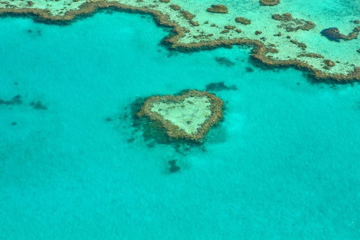 Veliki koralni greben u Australiji više nije u opasnosti
