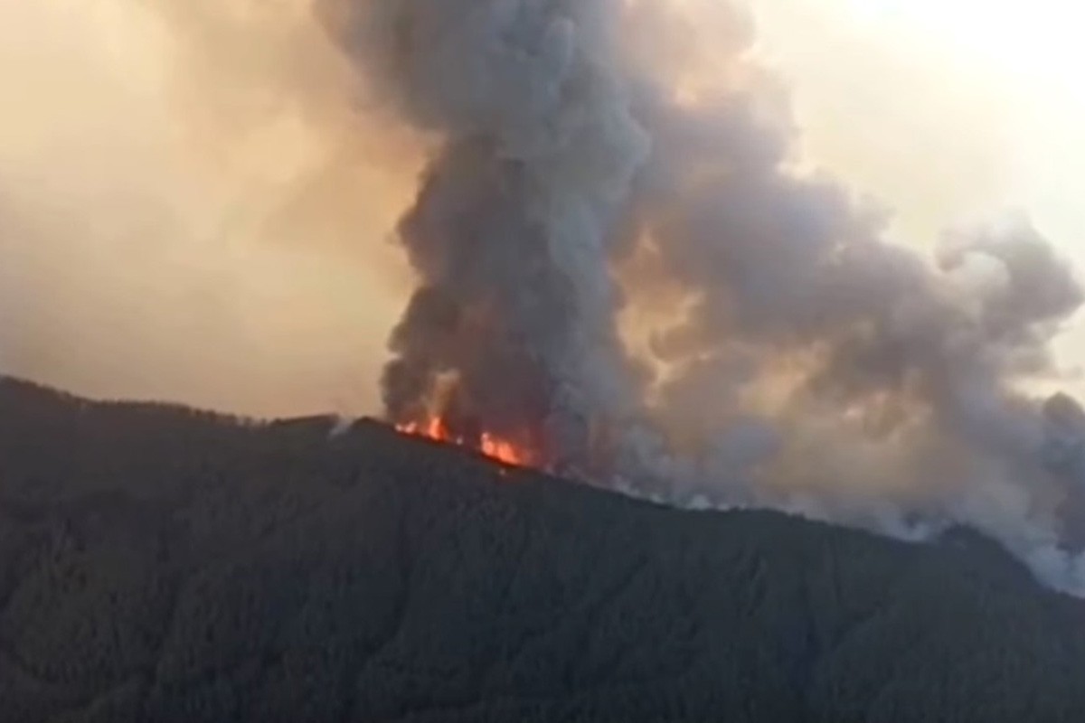 Zbog požara na Tenerifima evakuisano pet sela (VIDEO)