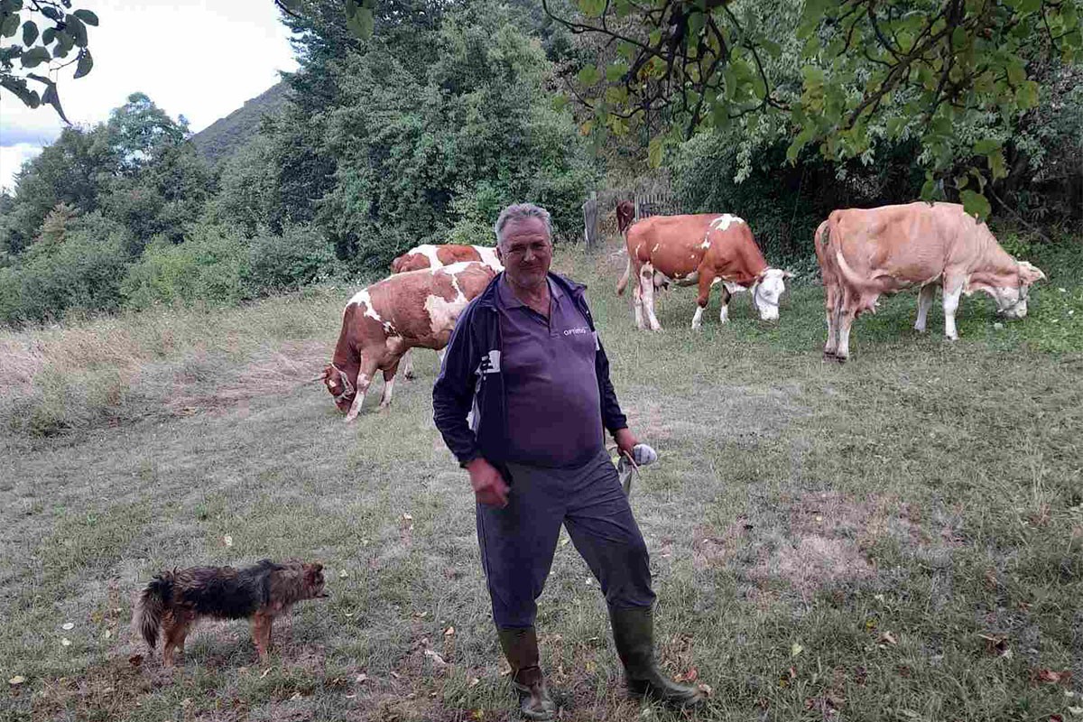 Domaćin iz Drvara pomoću Google-a locira krave poslije ispaše: "Omane za koji metar"