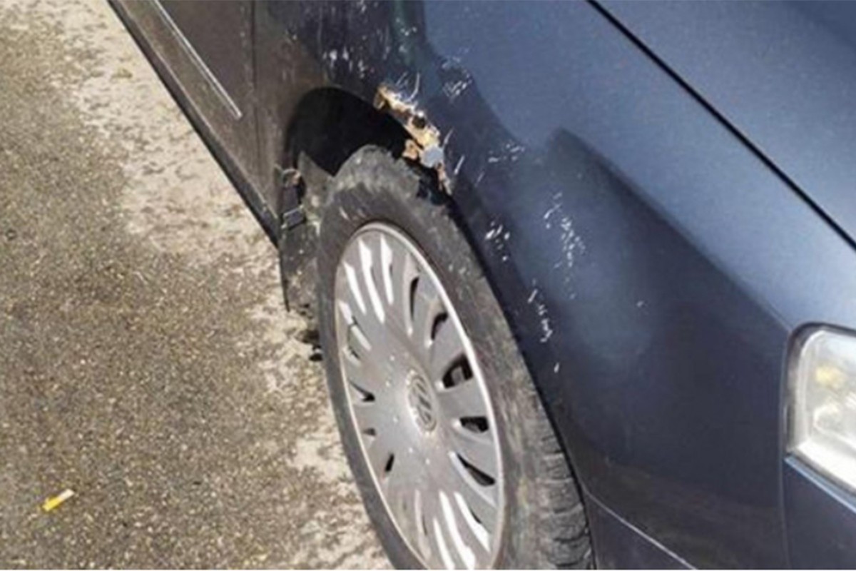 Pitbul oštetio automobil