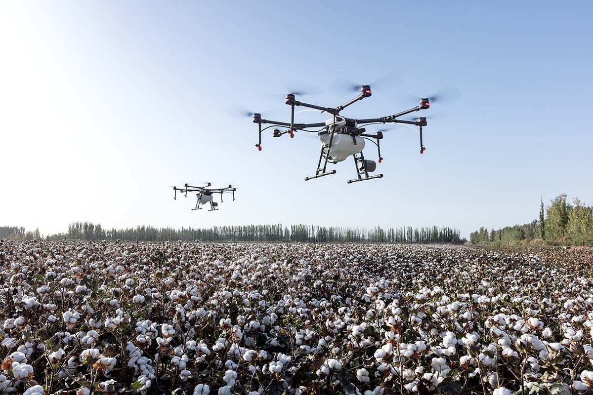 Pogledajte koliko dnevno Ukrajina gubi dronova