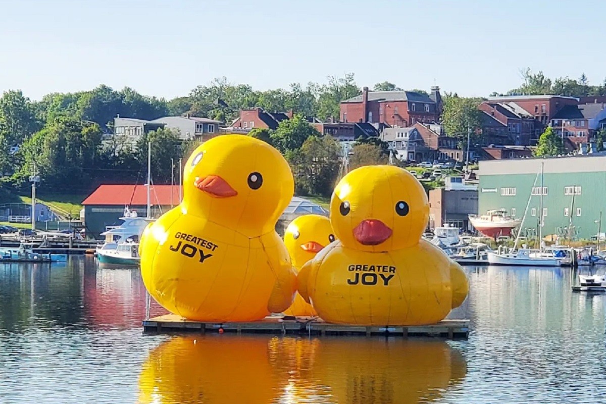 Povratak patki na naduvavanje (FOTO)