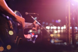 Održan koncert "ABBA Strings" u Botaničkoj bašti