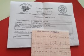 Bivša supruga Staše Košarca pisala Predstavničkom domu: Traži ...