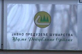 Loše vrijeme uticalo na gubitak u Šumama Republike Srpske