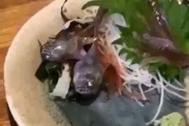 Čovjeku jelo oživjelo na tanjiru (VIDEO)