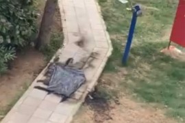 Objavljeni detalji incidenta u Srbiji: Odbornik se zapalio ispred ...