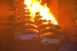 Serijski napad na Teslu, šteta pola miliona evra