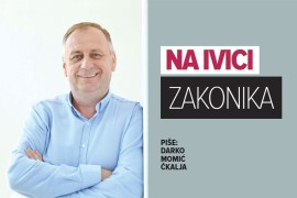 Vidi narod