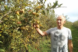 Voćarstvo postalo kao lutrija, i ove godine prepolovljeni prinosi
