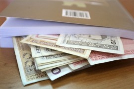 Isplaćeno više od 960.000 KM za razvoj poljoprivrede i sela