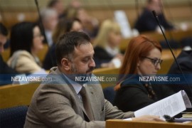 Žunić: SAD su s 80 miliona dolara platile organizacije u BiH za ...