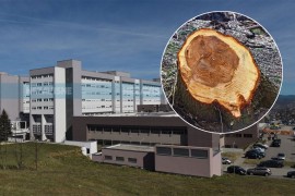 Povrijeđen prilikom sječe šume, smješten na UKC RS