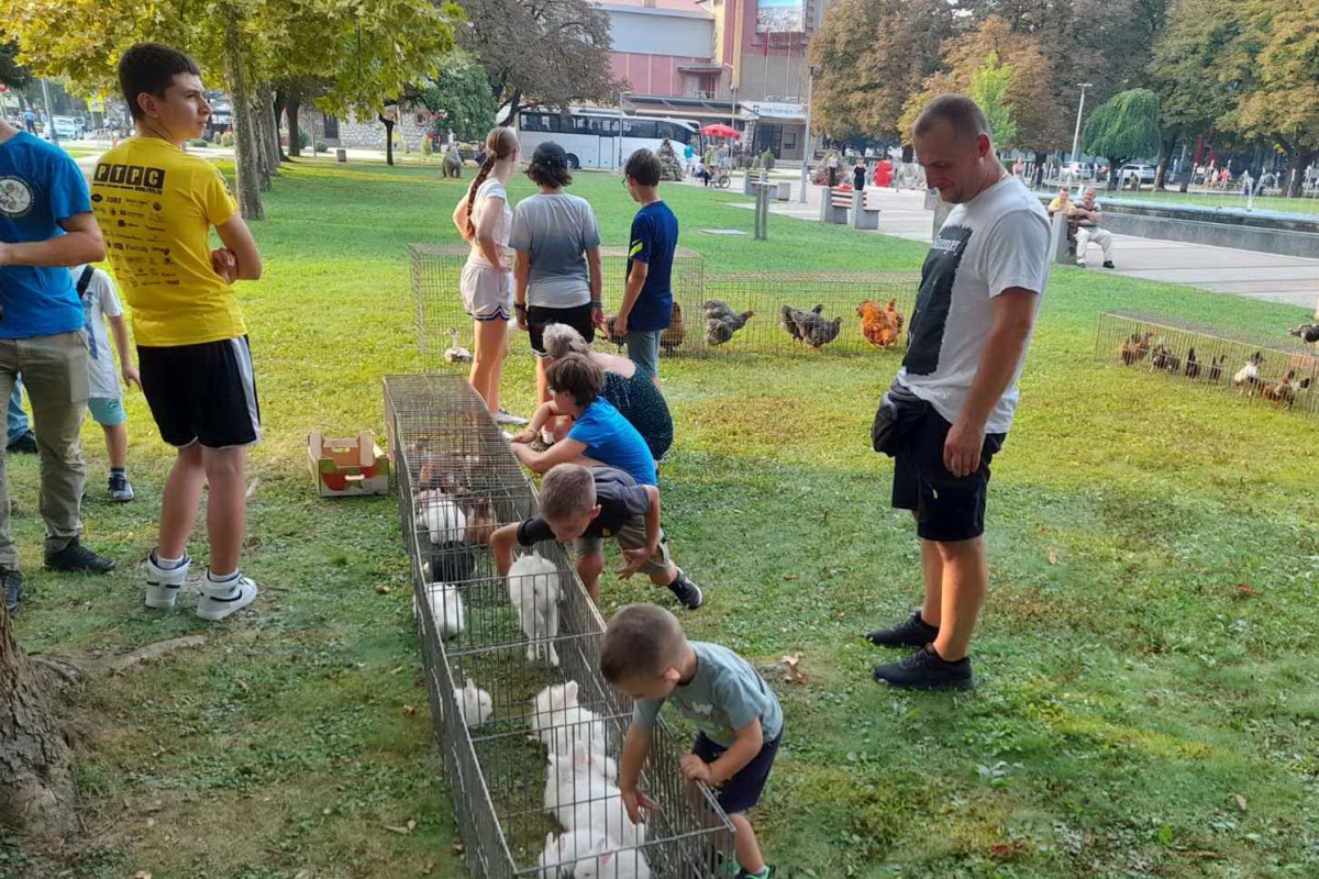 I papagaji i kunići mogu biti odani ljubimci