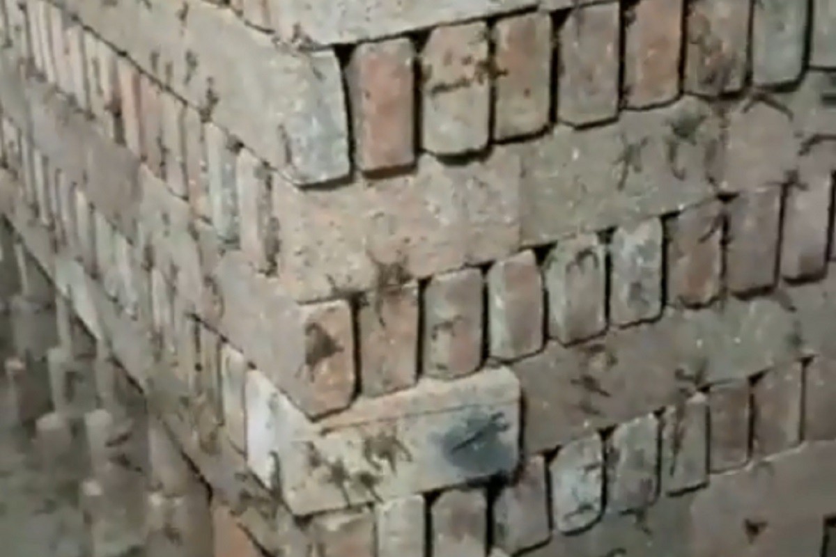 Da li je ovo najopasniji posao na svijetu? (VIDEO)
