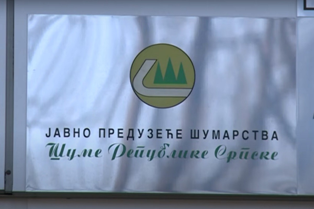 Loše vrijeme uticalo na gubitak u Šumama Republike Srpske