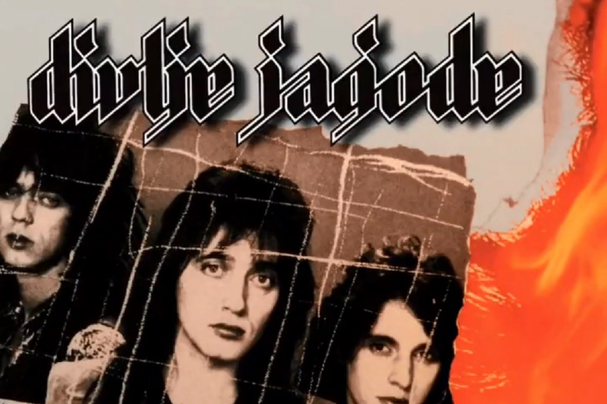 Odložen beogradski koncert Divljih jagoda