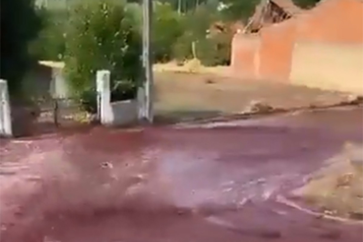 Rijeka vina teče portugalskim gradićem: Vinarima se slučajno prosulo 2,2 miliona litara (VIDEO)