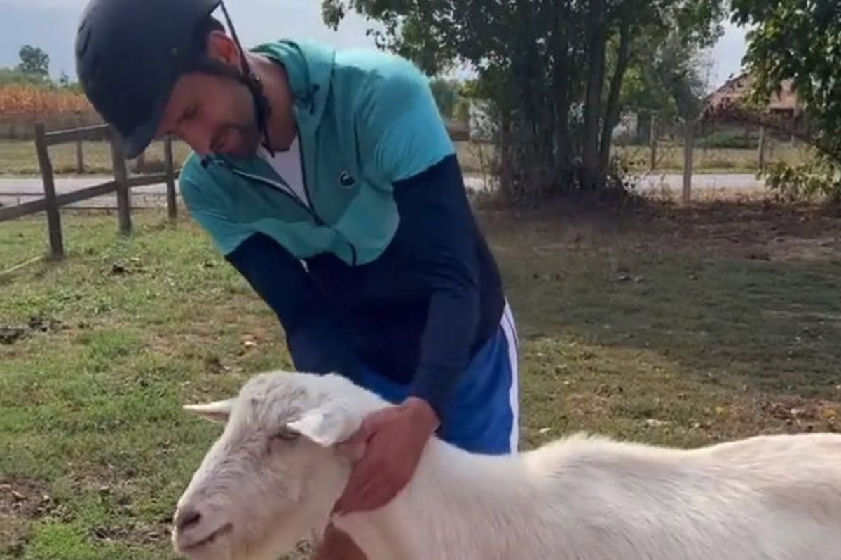 Kakav prizor: Dva GOAT-a (VIDEO)