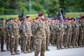 Vojnička brada: Može u Sloveniji, Hrvatskoj i BiH, nepoželjna u ...