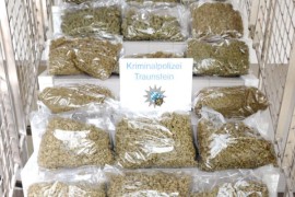 Otac i sinovi iz BiH osuđeni na višegodišnje kazne zbog trgovine ...